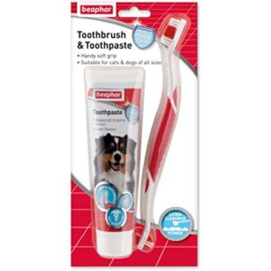 Beaphar Toothbrush & Toothpaste Pack