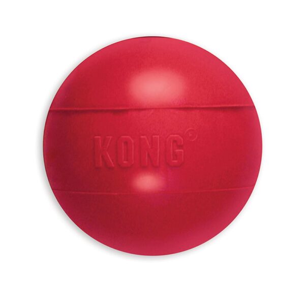 KONG Ball with hole