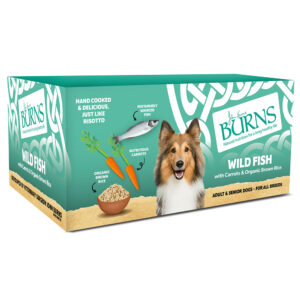 Burns Wild Fish with Carrots & Organic Brown Rice Wet Dog Food Trays