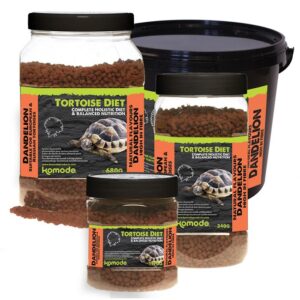Komodo Tortoise Food Dandelion Flavour