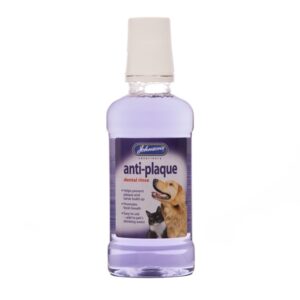 Johnson’s Anti Plaque Dental Rinse