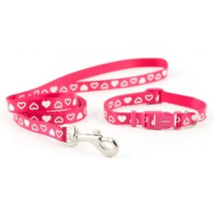 Ancol Small Bite Heart Collar & Lead Set