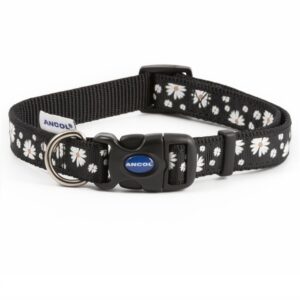 Ancol Fashion Daisy Adjustable Dog Collar