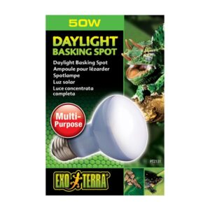Exo Terra Daylight Basking Spot