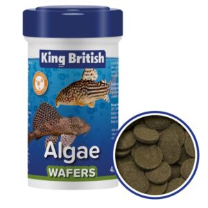 King British Algae Wafers