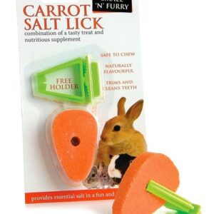 Small 'N' Furry Carrot Salt Lick With Holder