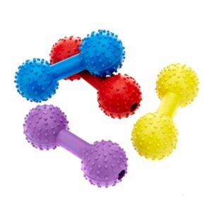 Classic Dumbbell with Bell