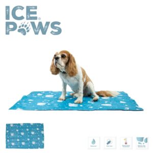 Ancol Ice Paws Cooling Bed