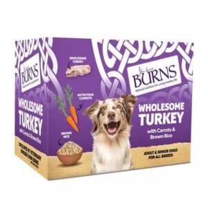 Burns Wholesome Turkey Wet Food