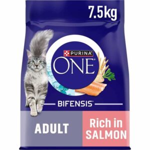 Purina ONE Adult Cat Dry Food Salmon