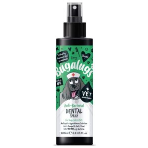 Bugalugs Antibacterial Dental Spray