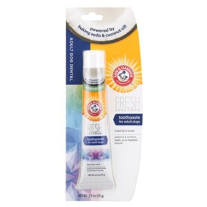 Arm & Hammer Fresh Minty Dog Toothpaste