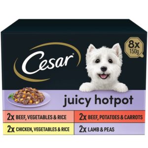 Cesar Juicy Hotpot Adult Wet Dog Food