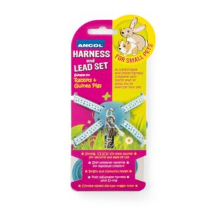 Ancol Rabbit Harness Set