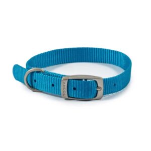 Ancol Viva Collar blue