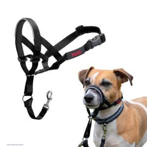Halti Training Headcollar